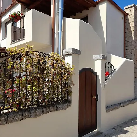 Beautiful Apartment